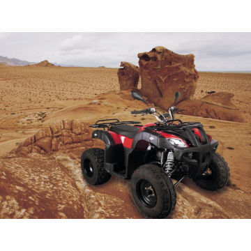 Oli de 200cc refrigerado por CVT que compite con el ATV para adulto (MDL 200 AUG)